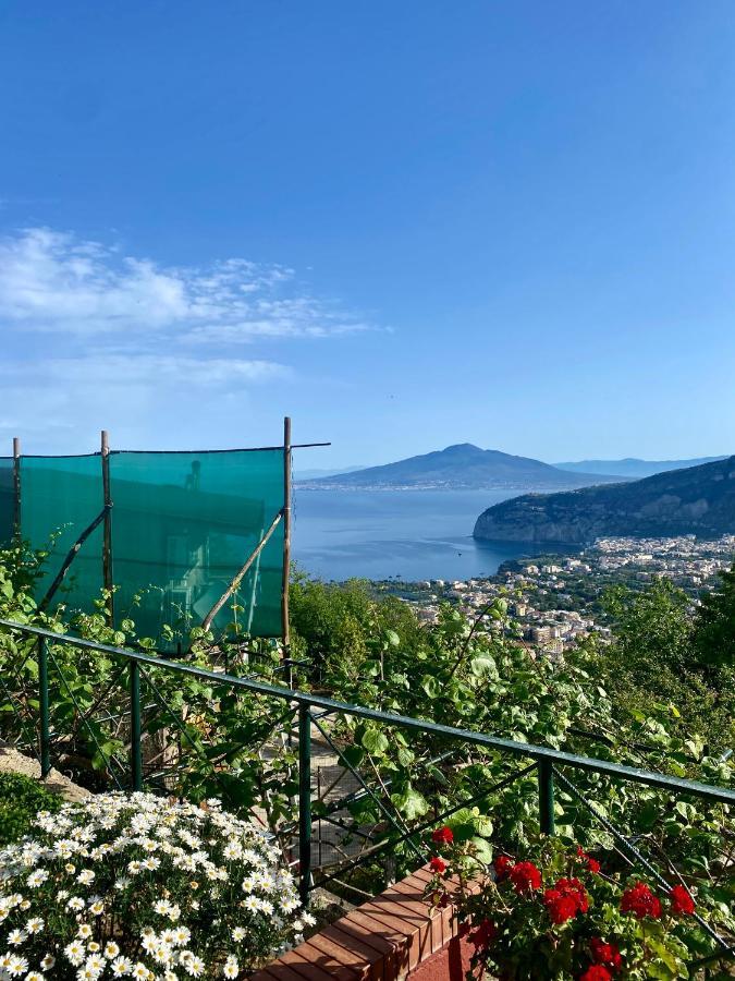 Villa Monica B&B ソレント エクステリア 写真