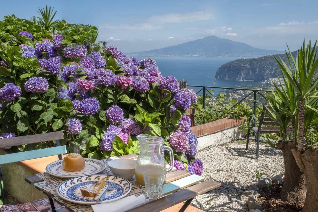 Villa Monica B&B ソレント エクステリア 写真